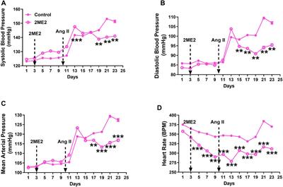 Estrogen Metabolite 2-Methoxyestradiol Attenuates Blood Pressure in Hypertensive Rats by Downregulating Angiotensin Type 1 Receptor